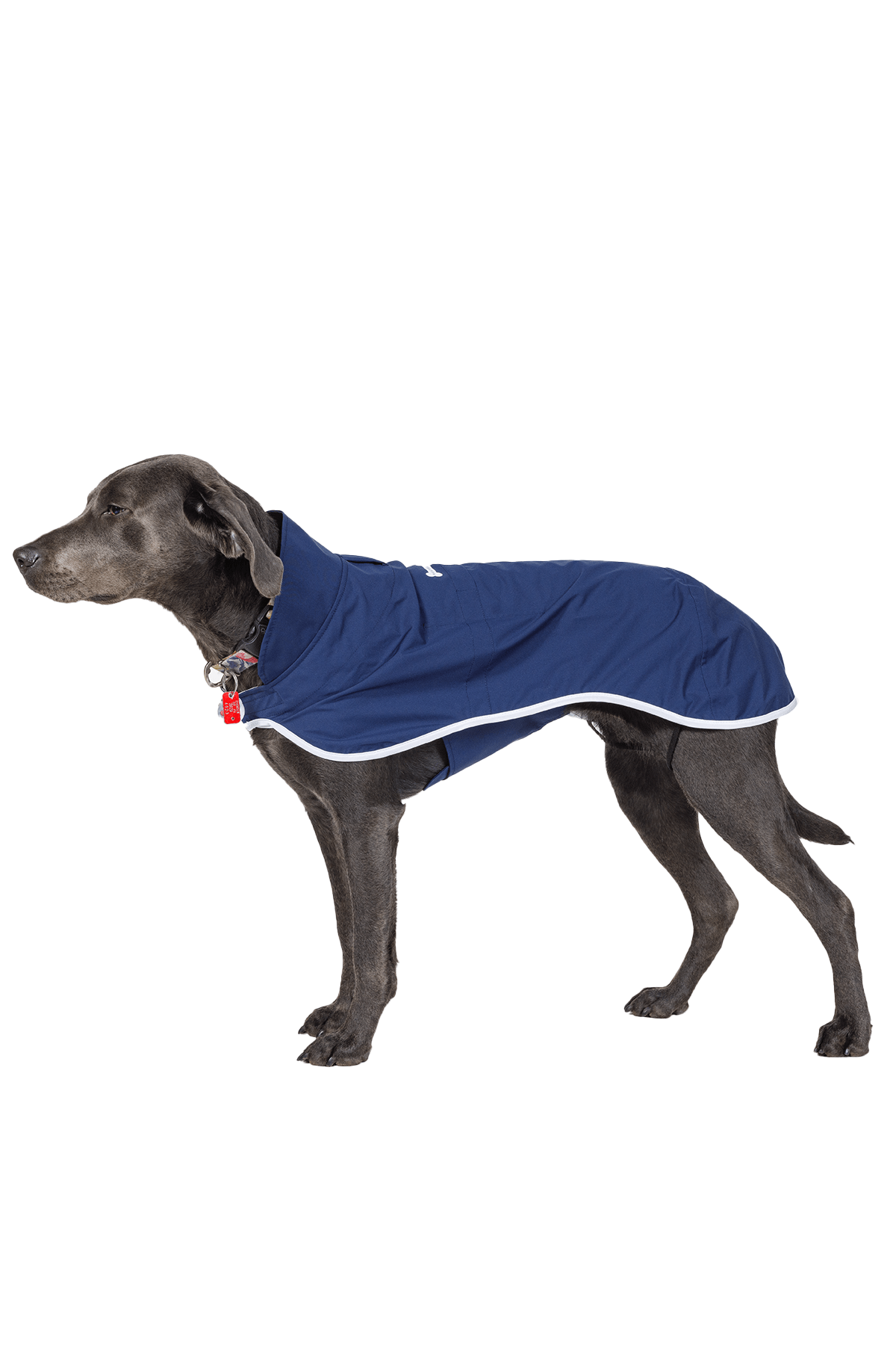 Boathouse Waterproof Dog Jacket - Image 4