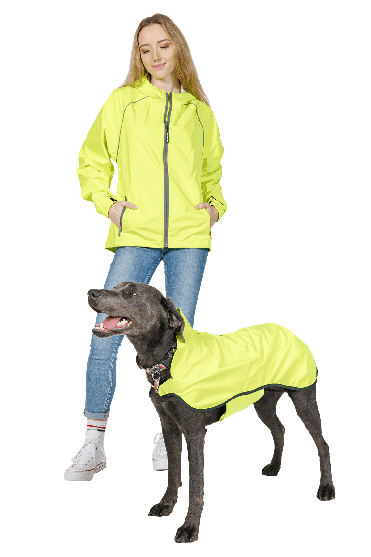 Boathouse Waterproof Dog Jacket - Image 7